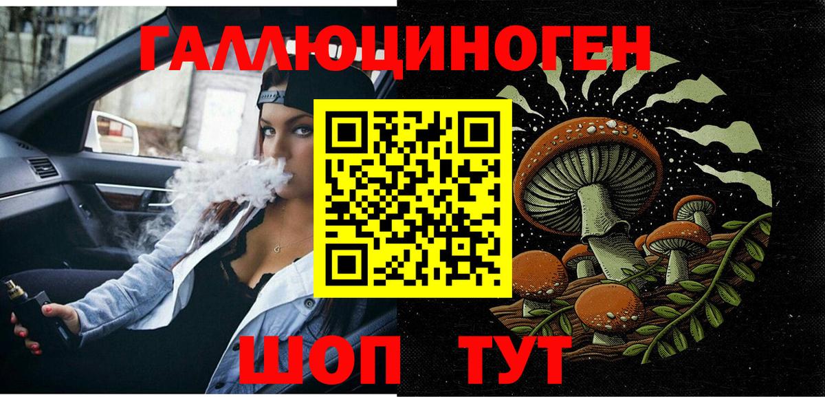 Галлюциногенные грибы мухоморы Курчатов