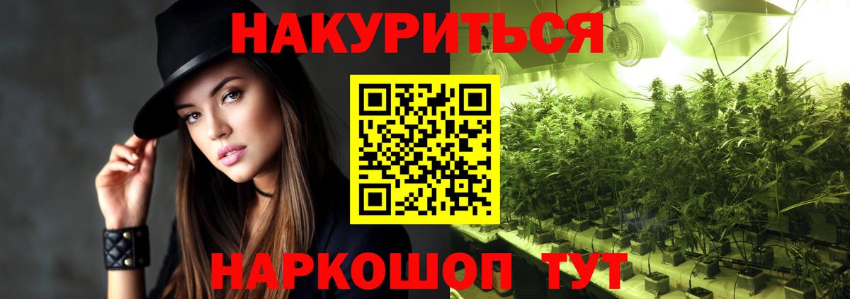 Галлюциногенные грибы Курчатов